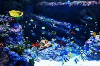 ​大鹿岛自驾去还是跟团游廉价大鹿岛自驾去还是跟团游廉价些