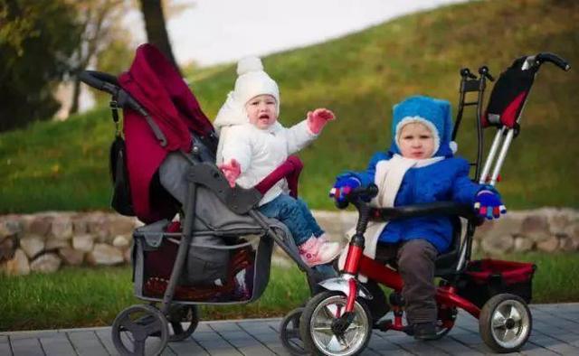 婴儿手推车品牌排行榜（30款婴儿手推车最新测评）(20)