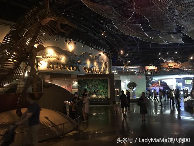 常州恐龙园主要景点介绍（还原一个真实的常州恐龙园纯干货攻略）(11)