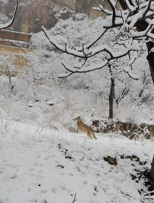 形容女子好的字有哪些（取名字用），哪位学识渊博的朋友指教下