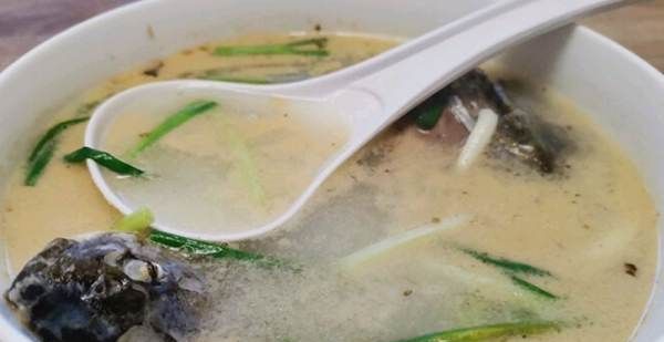 鲫鱼汤怎么去腥味,鲫鱼汤怎么做不腥图4