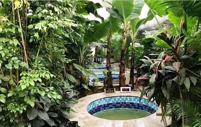 泡温泉需要注意什么东西（泡温泉有哪些注意事项）(13)