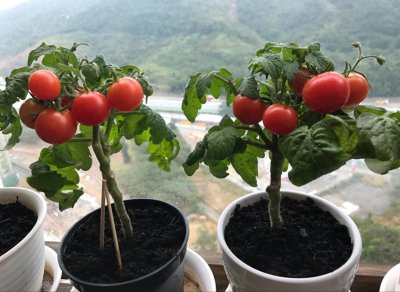 ​除了刷手机，你还有什么娱乐方式？