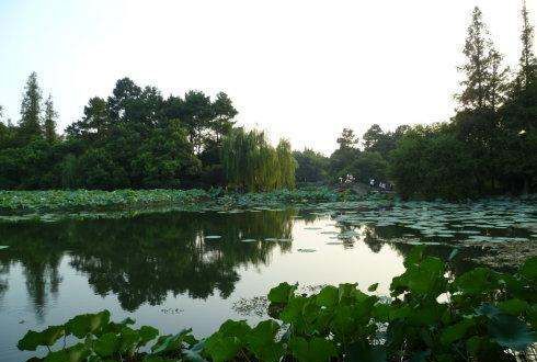 西湖十景是哪十景,西湖十景是哪十景图2