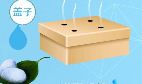 蚕宝宝孵化出来多久才吃东西，蝉孵化后多久吃东西？图4