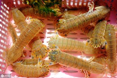 ​皮皮虾是什么意思？其实就是一道美食哦