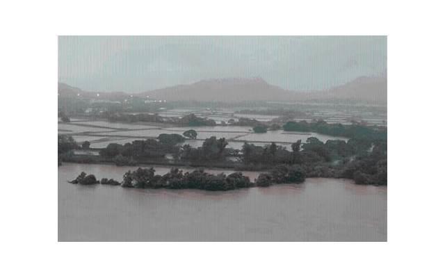 姘居和同居的区别，法律是如何规定的？