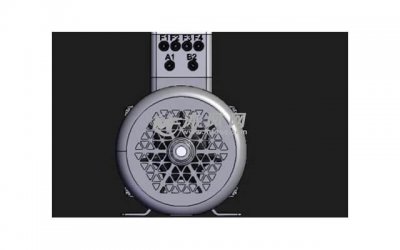 ​双鱼座的曼陀罗：印度神话中的灵性花卉