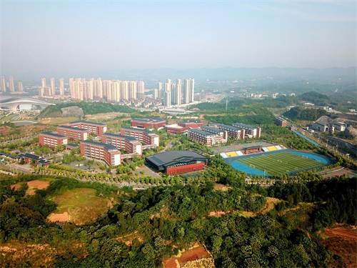 湖北宜昌市第一中学 2020.04.29