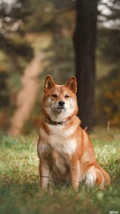 ​我在广东已漂泊十年