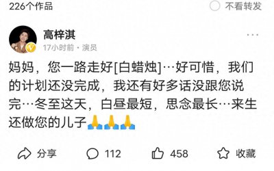 ​高梓淇的遗憾！与蔡琳离婚孩子在韩国，母亲因疫情离世未见到孙子