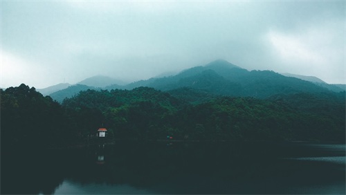 厦门天竺山森林公园