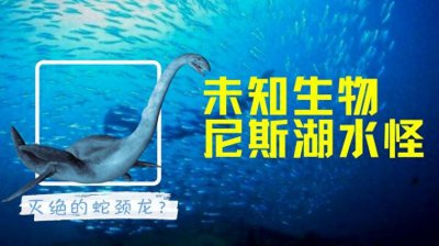 ​尼斯湖水怪，原来真相如此简单！