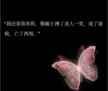 ​专属文科生的极致浪漫文案