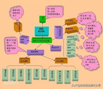 ​概念图和思维导图的区别图片（举例说明两者的不同点）