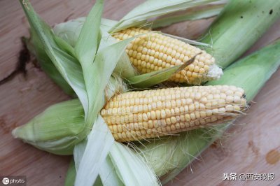 ​苞谷糁已经成为一种强烈的味觉习惯和情感依赖了