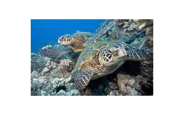 月经不调会影响生育吗 正确区分不出错