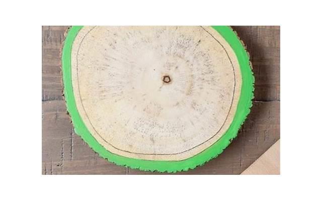 向天歌李君婕为了他勾心斗角 心动的信号奥斯卡喜欢谁