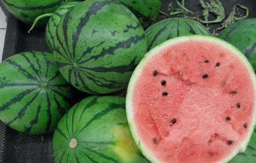 西瓜籽是白色的是催熟的,白籽西瓜是催熟的吗图6