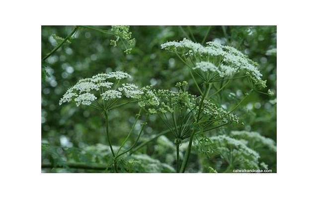 错过的不止是时间