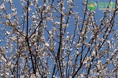 ​2023立春具体时间几点几分几秒？