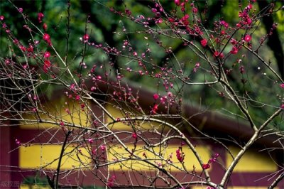 ​王坚：南宋末期的军事奇才