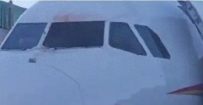 ​韩国客机事故疑似撞鸟引发，飞机撞鸟有多可怕？