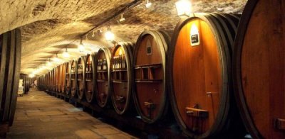 ​最老的葡萄酒(老藤葡萄酒价格)