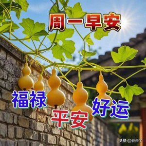 ​漂亮温馨的早上好问候祝福图片精选，愿你幸福快乐没烦恼！