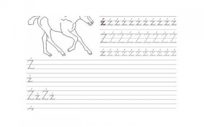 ​古力娜扎张翰（张翰夸古力娜扎素颜好看）