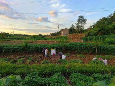 ​七月十四逢月忌，老人告诫“不做3事”：何为月忌，哪3件事？