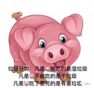 ​垃圾分类下月起正式实施！催生新职业：“代扔垃圾”！每次1元，你怎么看？