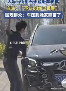 ​越闹越大!农妇砸奔驰后续：定损单曝光，面临巨额赔偿！车主发声