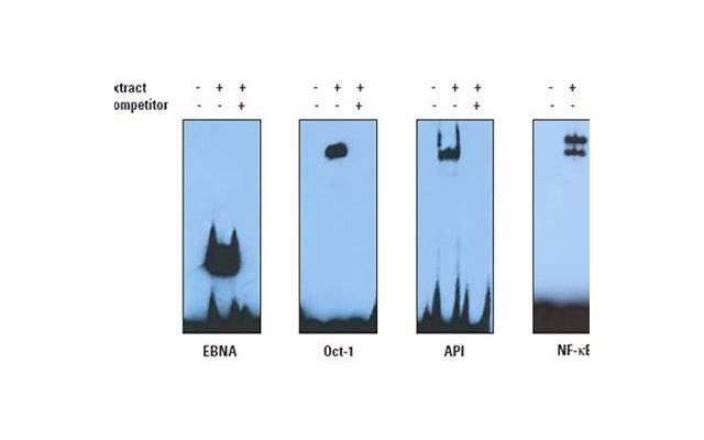 超级约会学幽默技巧，教你提升魅力值