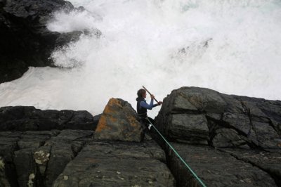 ​寻觅鹅颈藤壶