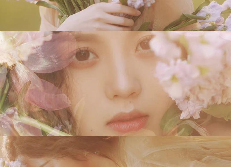 视崖实验的结论