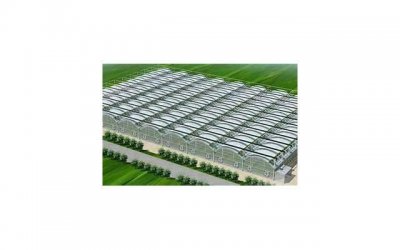 ​孙千个人资料（孙千个人资料照片作品一览）