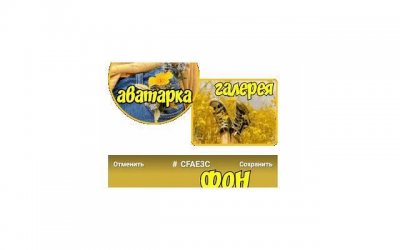 ​感觉相亲男对我有好感但不联系