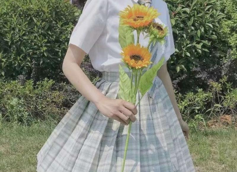 智性恋起源是什么