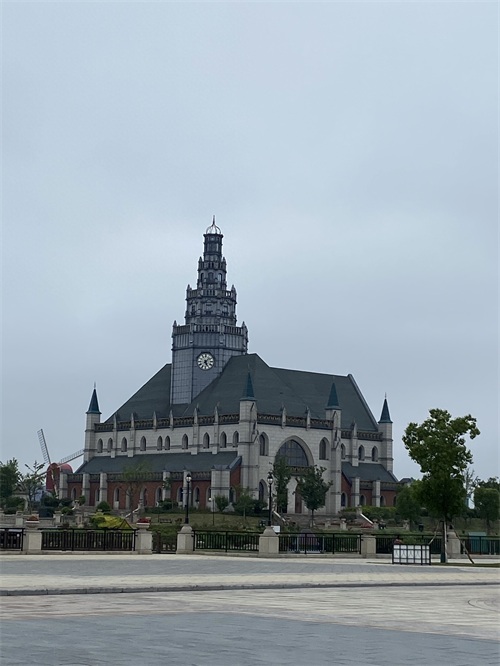 盐城大丰荷兰花海游