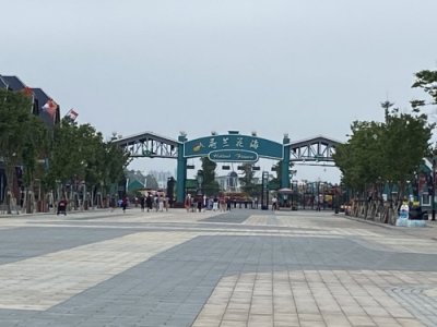 ​盐城大丰荷兰花海游