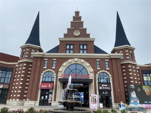 盐城大丰荷兰花海游