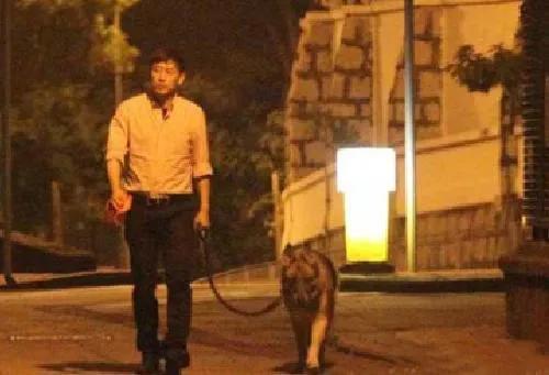 张国荣和唐鹤德的三次分手（61岁唐鹤德近照显疲倦）(10)