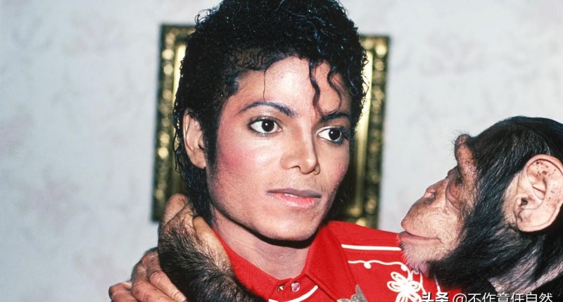 迈克杰克逊整容前（迈克杰克逊面容变化史）