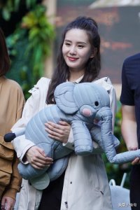 ​中国公认最漂亮的女明星前十名(中国漂亮女明星100名)