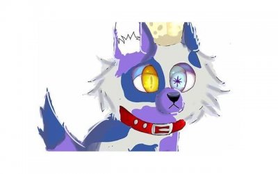 ​纯白张馨予，纯白携张馨予入住斗鱼首秀进行神秘曝光