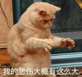 ​高志谦：留校当老师，遭所有人反对！尘埃落定前，你我皆为黑马