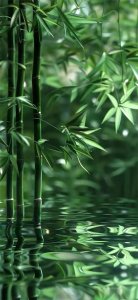 ​绿色护眼壁纸‖ 少玩手机多养神 好好运动多休息～【290期】