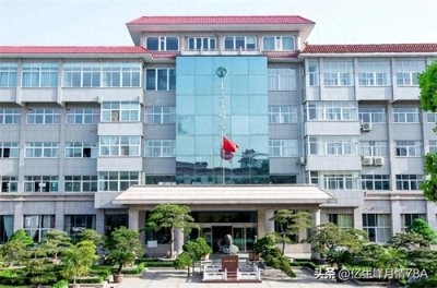 ​王守义十三香：一部手机背后的“员工关怀革命”探索