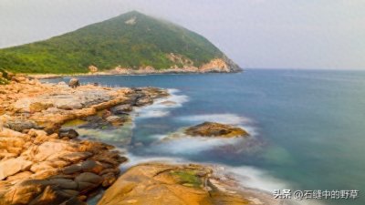 ​海南又火了！来容易，离开难！30条冷知识，带你深入了解海南！